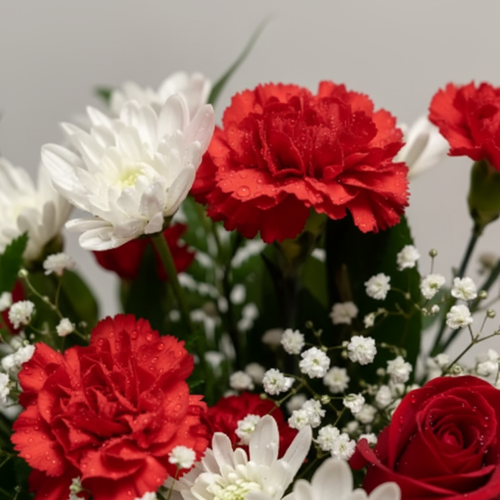 Close-up of blooms