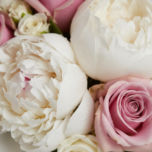 Close-up of blooms